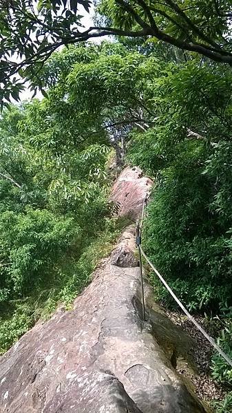 WP_20140913_123.jpg