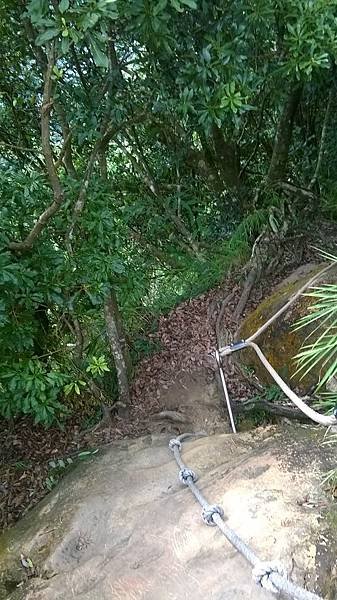 WP_20140913_124.jpg