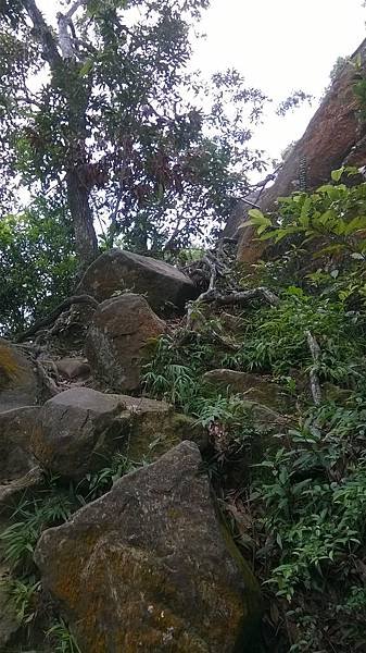 WP_20140913_125.jpg