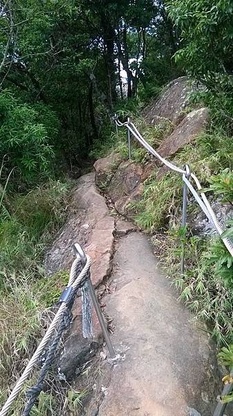 WP_20140913_135.jpg