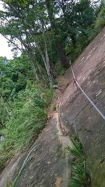 WP_20140913_153.jpg