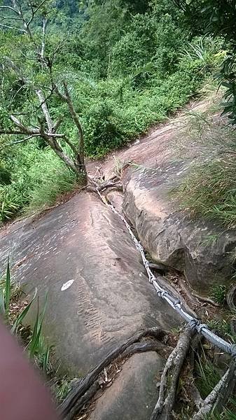 WP_20140913_154.jpg
