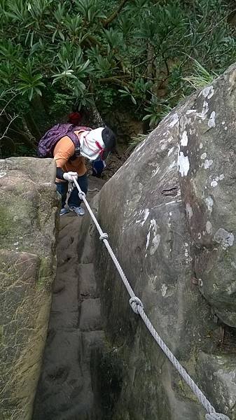 WP_20140913_160.jpg