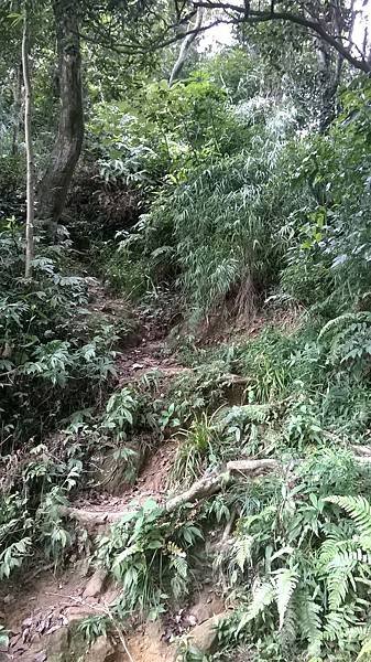 WP_20140913_170.jpg