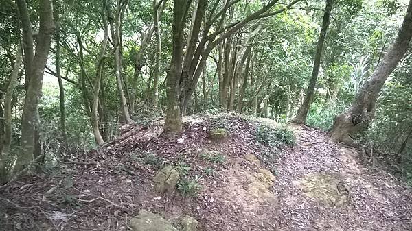 WP_20140913_171.jpg