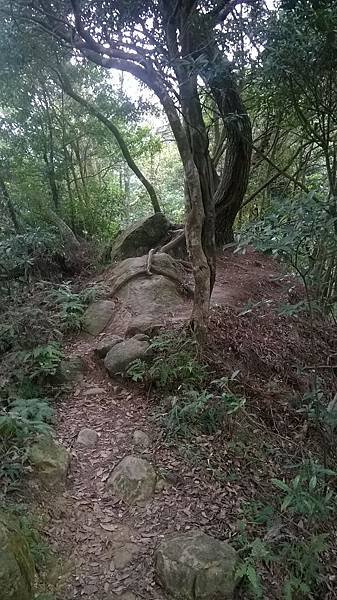 WP_20140913_173.jpg
