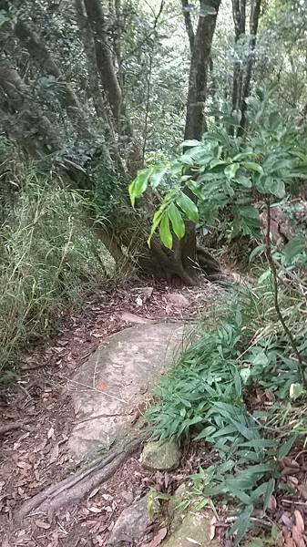 WP_20140913_175.jpg