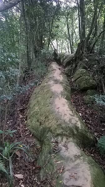 WP_20140913_176.jpg