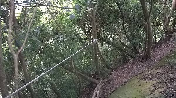 WP_20140913_177.jpg