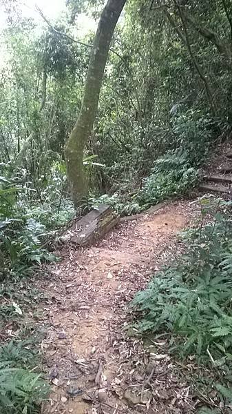 WP_20140913_178.jpg