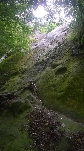 WP_20140913_180.jpg