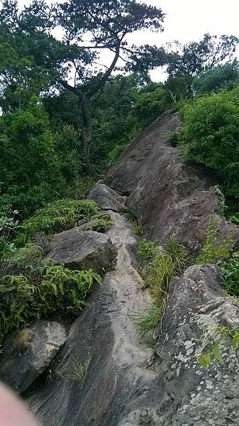 WP_20140913_182.jpg