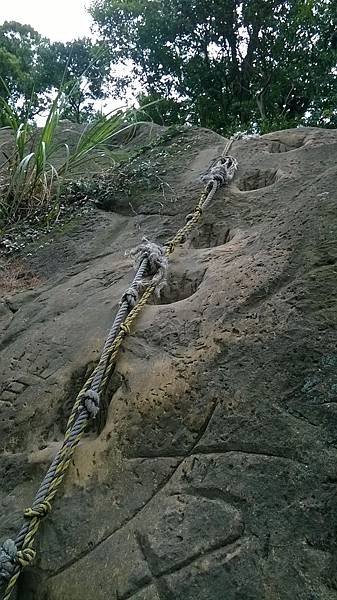WP_20140913_184.jpg