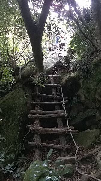 WP_20140913_188.jpg