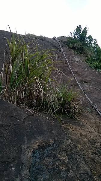 WP_20140913_191.jpg