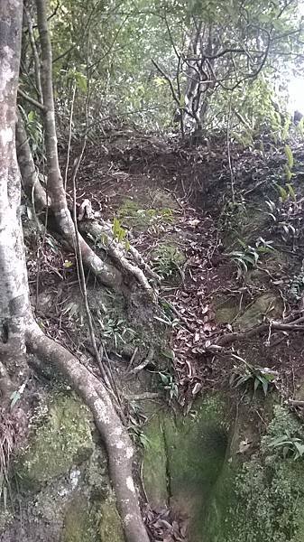 WP_20140913_194.jpg