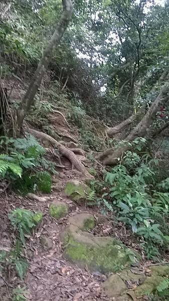 WP_20140913_196.jpg