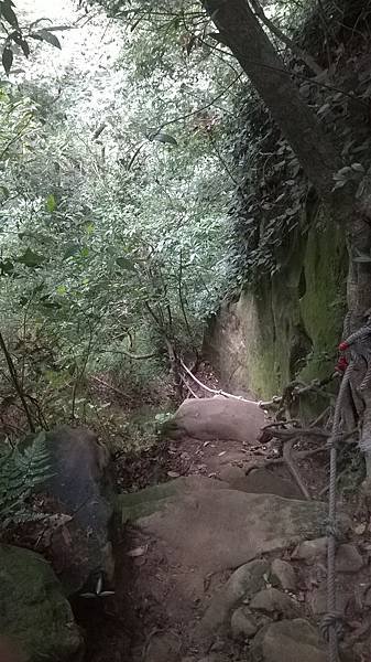 WP_20140913_197.jpg