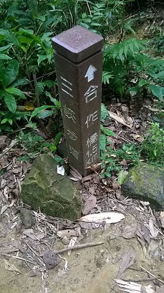 WP_20140913_202.jpg