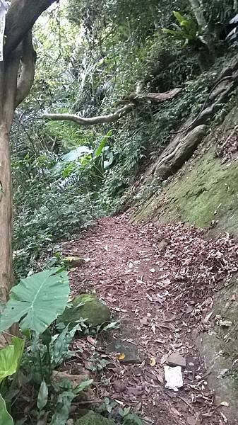 WP_20140913_203.jpg