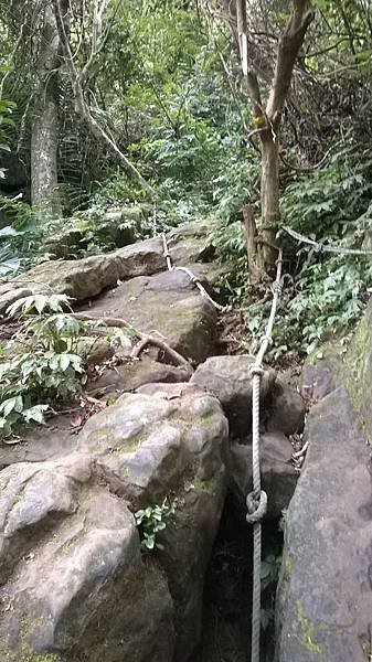 WP_20140913_205.jpg