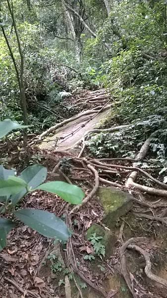 WP_20140913_206.jpg