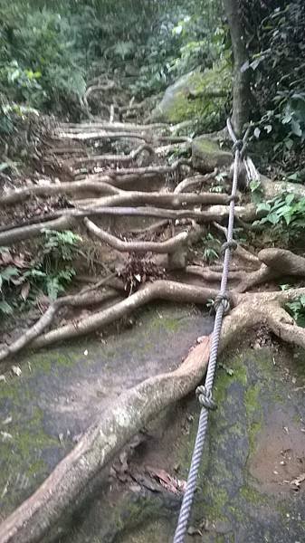 WP_20140913_207.jpg