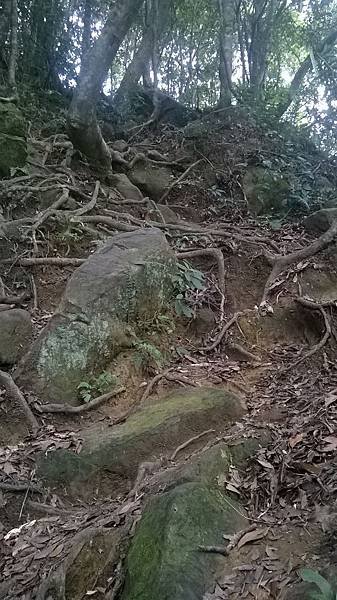 WP_20140913_209.jpg