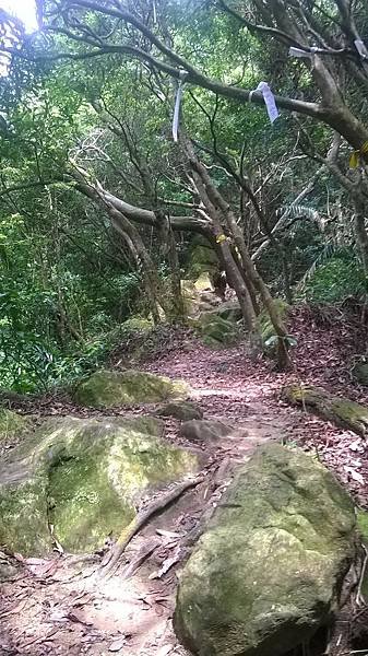 WP_20140913_212.jpg