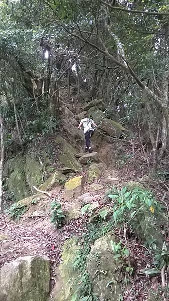 WP_20140913_213.jpg