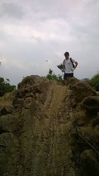 WP_20140913_215.jpg