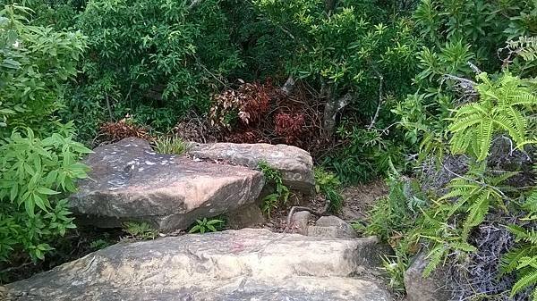 WP_20140913_219.jpg