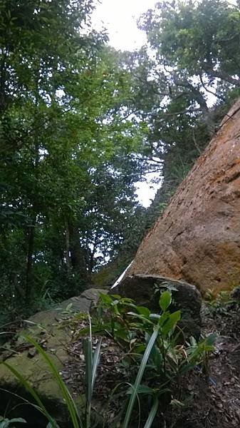 WP_20140913_225.jpg