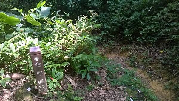WP_20140913_226.jpg