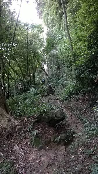 WP_20140913_227.jpg