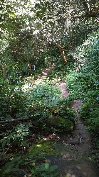 WP_20140913_230.jpg