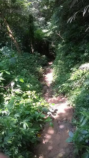 WP_20140913_231.jpg