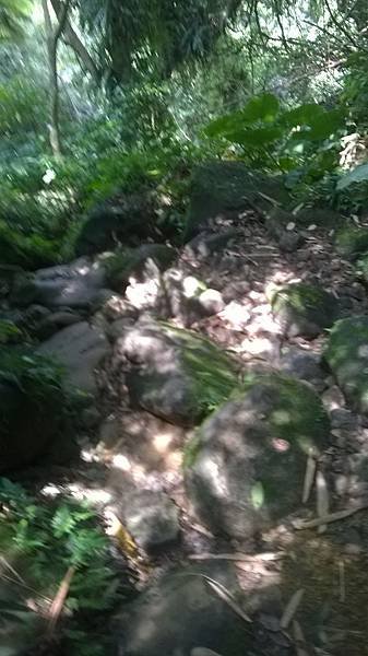 WP_20140913_233.jpg