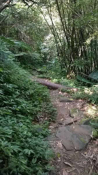 WP_20140913_235.jpg