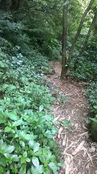 WP_20140913_236.jpg