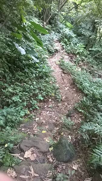 WP_20140913_237.jpg