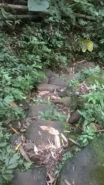 WP_20140913_241.jpg