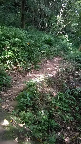 WP_20140913_244.jpg