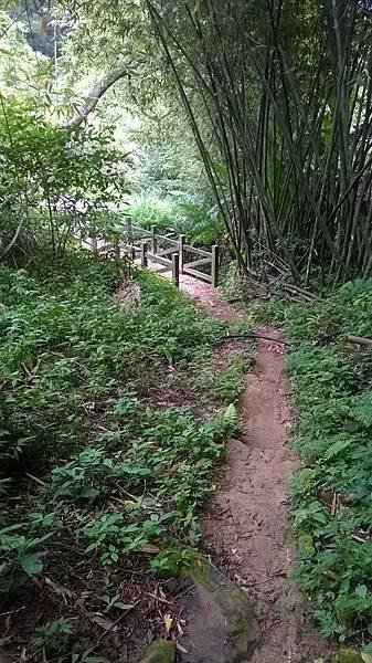 WP_20140913_265.jpg