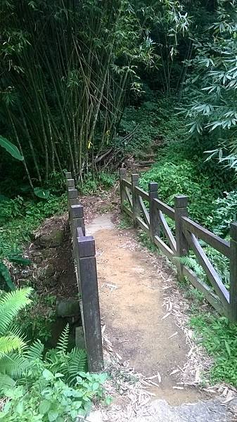 WP_20140913_268.jpg