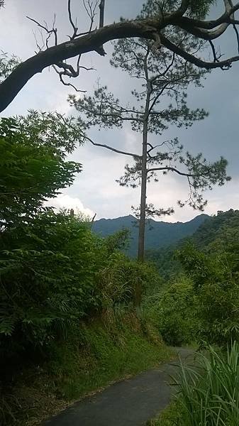 WP_20140913_269.jpg