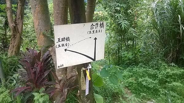 WP_20140913_287.jpg
