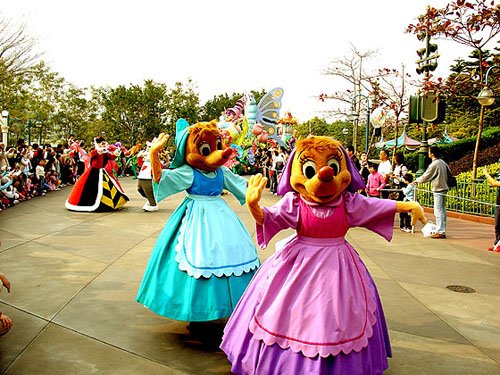 DSC01806.jpg