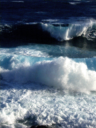 CIMG1900.gif