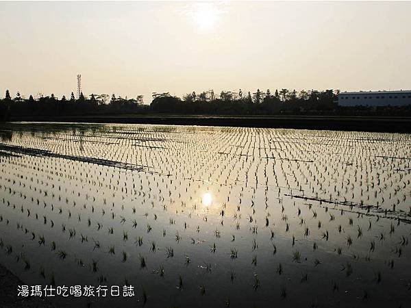 彰化_溪州_溪州公園_費茲洛公園_34